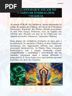 10 Plantas Que Atuam No Campo de Energia Dos Chakras