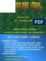 Metabolismelemakbs1 121001111236 Phpapp02