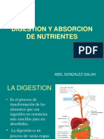 Digestion y Absorcion de Nutrieentes