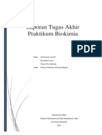 Tugas Akhirrr PDF