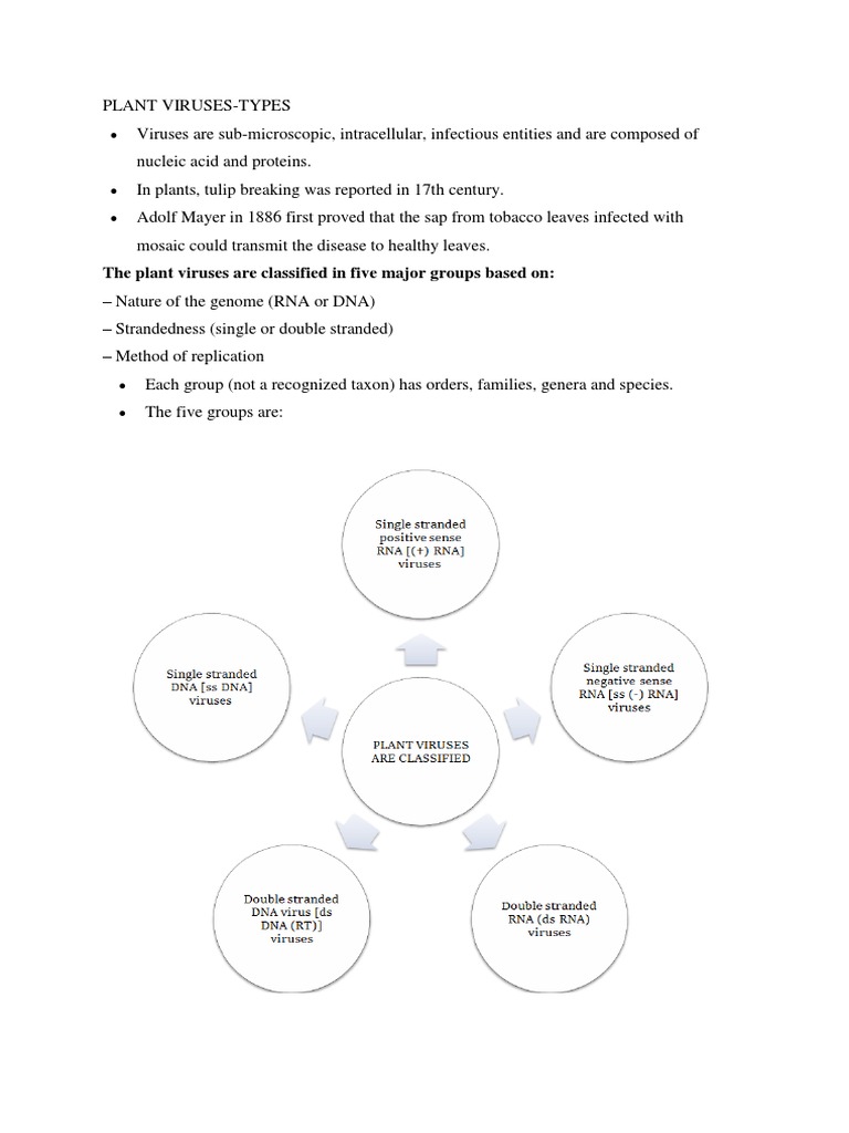 Classification Of Plant Virus Plant Virus Virus