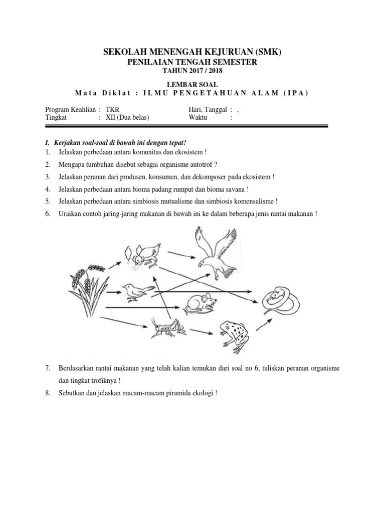 Soal Pilihan Ganda Materi Ekosistem Kelas X