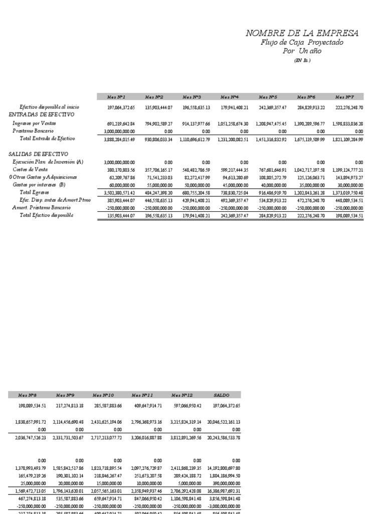 Modelo Flujo de Caja Proyectado | PDF | Flujo de efectivo | Economias