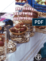 Make $ by Growing Mushroom