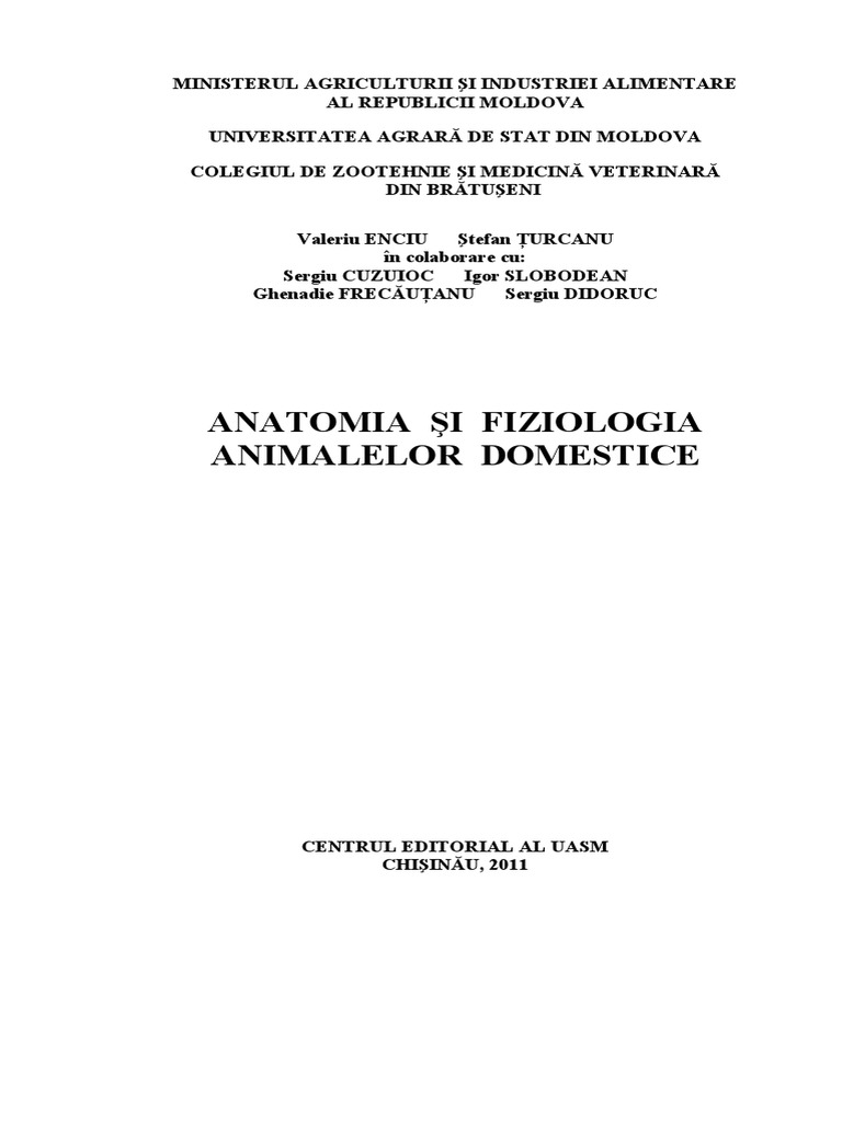 Anatomia  PDF