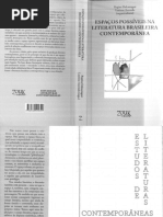 Espaços possíveis na literatura brasileira