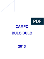 Plan de Trabajos y Presupuesto del Campo Bulo Bulo para 2013
