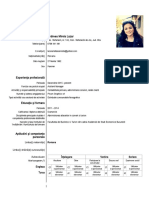 CV in Format European