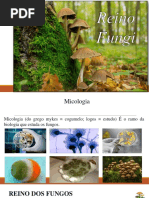 Aula de Biologia - Fungos