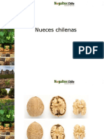 Nueces Chilenas (2013)