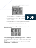 Desarrollo Embrionario y Fetal Humano