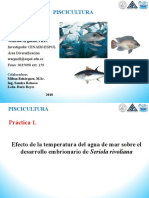 Práctica Desarrollo Embrionario Peces PDF