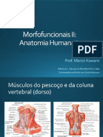 Sistema Muscular - Músculos Do Pescoço e Do Dorso PDF