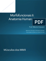 18 - Sistema Muscular - Músculos Da Perna e Do Pé PDF