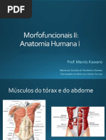 Sistema Muscular - músculos do tórax e abdome.pdf