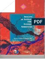 Imagens de Satelite para Estudos Ambientais_FLORENZANO pdf.pdf
