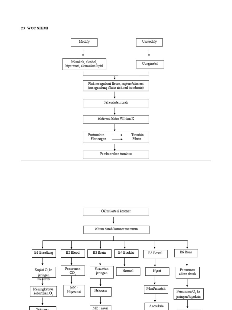 Woc Askep Ima Stemi | PDF