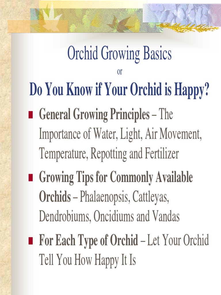 St. Augustine Orchid Society Events | PDF | Root | Leaf