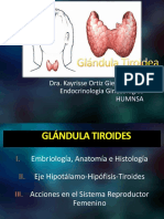 Glándula Tiroides: Embriología, Anatomía, Fisiología e Impacto en la Salud Reproductiva