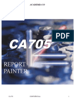 CA705 - Report Painter