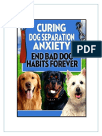 Curing Dog Separation Anxiety - How To End Bad Dog Habits Forever