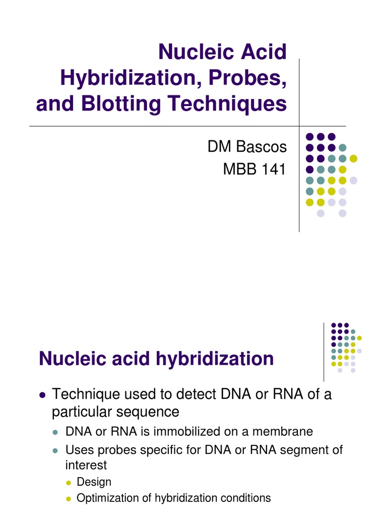 4 Nucleic Acid Hybridization PDF Blot (Biology) Nucleic Acids