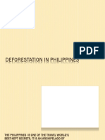 Deforestation in Philippines