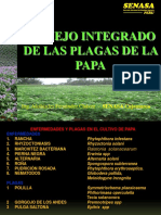 MANEJO INTEGRADO PAPA CAJMARCA.pdf