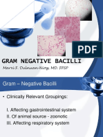 Gram Negative Bacilli