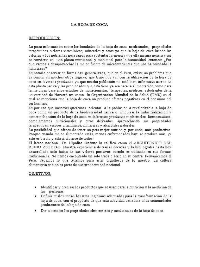 Informe Hoja de Coca PDF Cocaína Leche