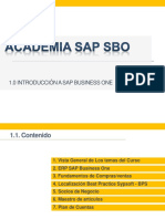 Introduccion SAP SBO