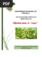 Glycine Max