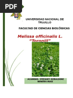 Melissa Officinalis