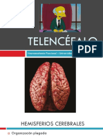 T10 - Telencéfalo.pdf