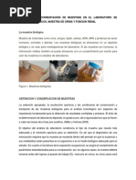 PRECAUCION Y CONSERVACIÓN DE MUESTRAS EN EL LABORATORIO DE ANÁLISIS BIOLÓGICOS, MUESTRA DE ORINA Y FUNCION RENAL