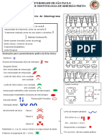 13 Guia para Preenchimento de Odontograma em Dentistica