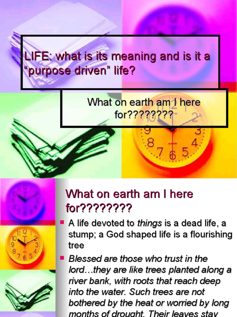 The Purpose Driven Life | PDF | Musical Groups | God