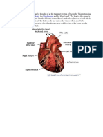 Anatomy of Heart - Ryan
