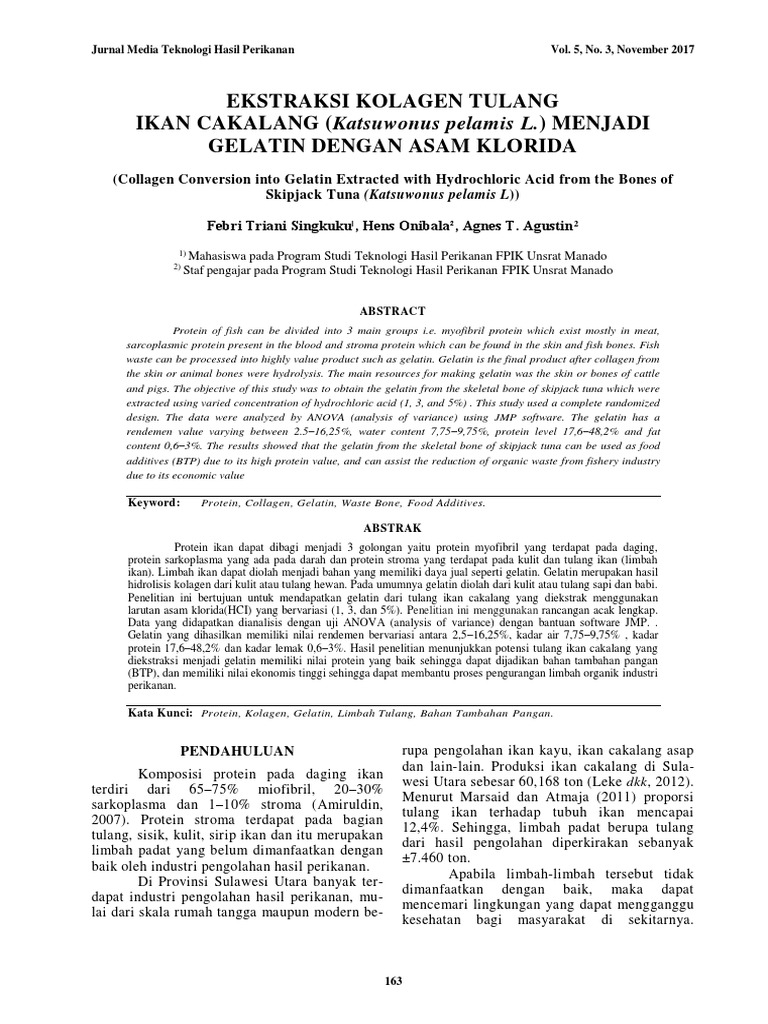 Peranan Kolagen dari Makanan Harian: Meningkatkan Kesejahteraan Badan