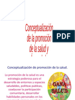 Conceptualización de La Promoción de La Salud y Áreas de La Promoción de La Salud