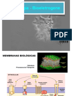 2 - Bioeletrogenese - Key PDF