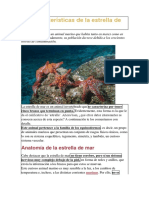 estrellas de mar.docx