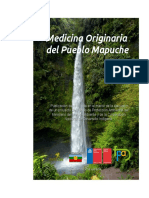 Medicina originaria del pueblo Mapuche