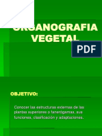 Organografia Vegetal