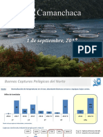 Camanchaca Presentacion de Resultados 2017 Q2