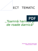 Toamna Harnica Si de Roade Darnica PT 2017-2018