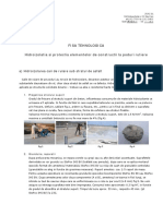 STO Fisa Tehnologica - Izolarea Podurilor PDF