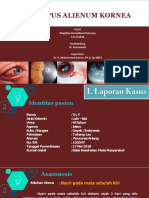 PPT-Corpus Alienum Kornea