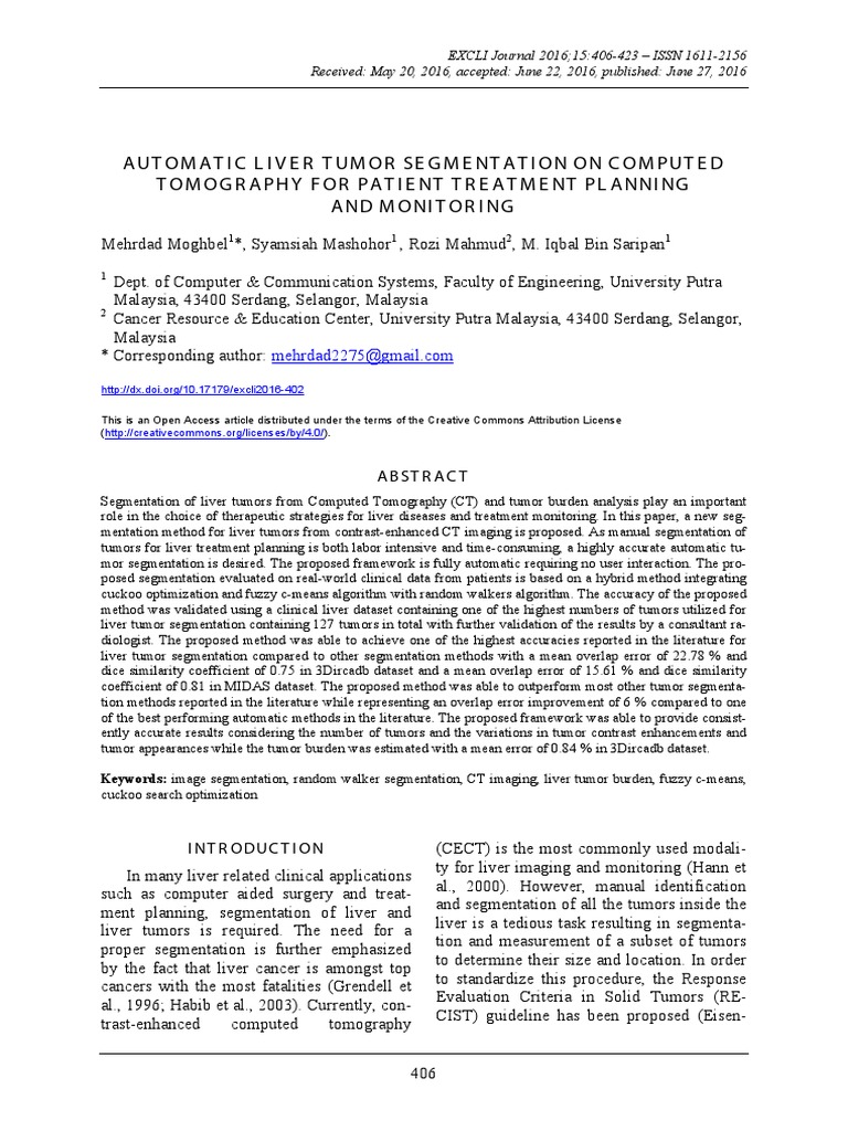 Automatic Liver Tumor Segmentation CT | PDF | Image Segmentation ...