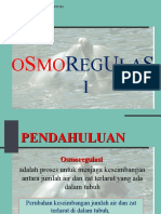 Download osmoregulasi by Youdhystira Putra Asmara Tanusasmita SN38537396 doc pdf